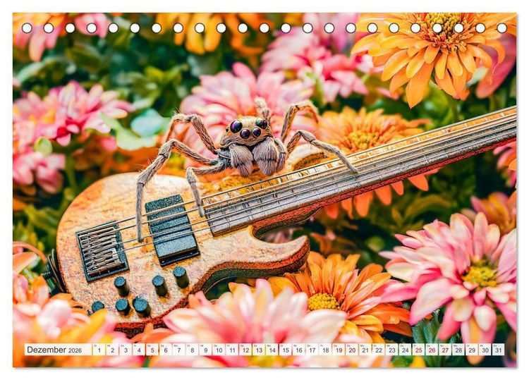 Produktbild: Konzert der Natur - Insekten spielen Musikinstrumente (Tischkalender 2026 DIN A5 quer), CALVENDO Monatskalender