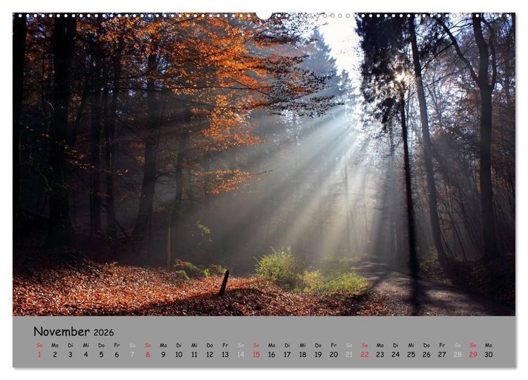 Produktbild: L&uuml;neburger Heide - sch&ouml;n zu jeder Jahreszeit (hochwertiger Premium Wandkalender 2026 DIN A2 quer), Kunstdruck in Hochglanz