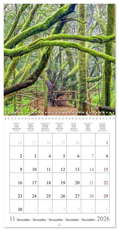 Produktbild: Canary Islands - Volcanic Beauties (Wall Calendar 2026 12 &times; 12 Inch) CALVENDO 12 Month Wall Calendar