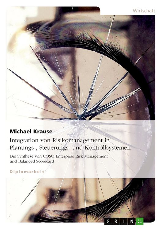 Produktbild: Integration von Risikomanagement in Planungs-, Steuerungs- und Kontrollsystemen