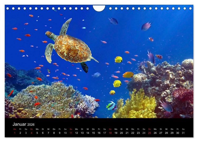 Produktbild: Tr&auml;ume unter Wasser (Wandkalender 2026 DIN A4 quer), CALVENDO Monatskalender