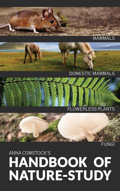 Produktbild: The Handbook Of Nature Study in Color - Mammals and Flowerless Plants