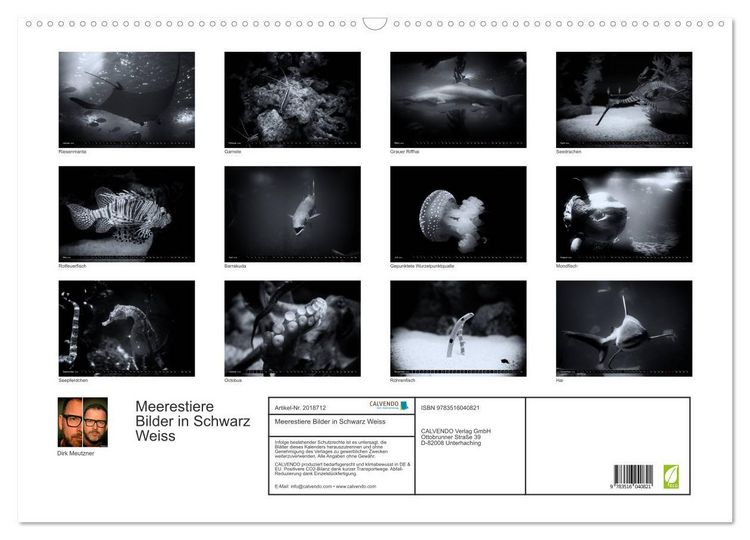 Produktbild: Meerestiere Bilder in Schwarz Weiss (Wandkalender 2026 DIN A2 quer), CALVENDO Monatskalender