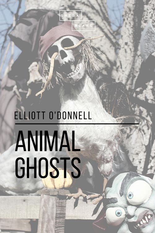 Produktbild: Animal Ghosts