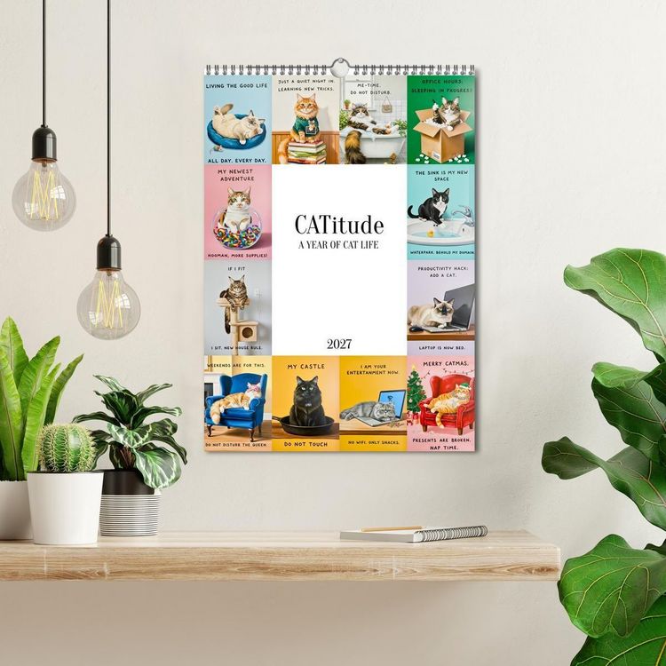 Produktbild: CATitude A YEAR OF CAT LIFE (Wall Calendar 2027 DIN A3 portrait), CALVENDO 12 Month Wall Calendar