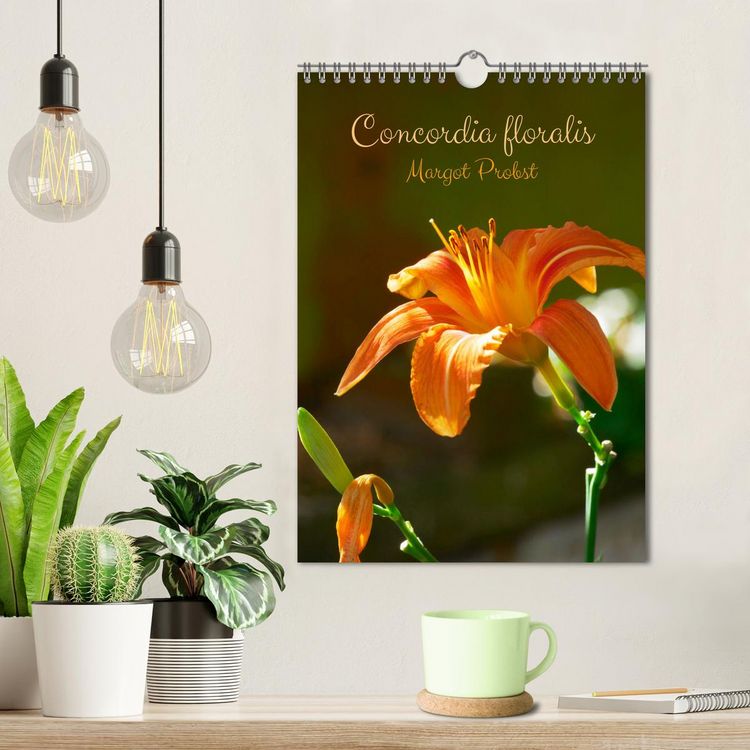 Produktbild: Concordia floralis (Calendrier mural 2026 DIN A4 horizontal), CALVENDO calendrier mensuel