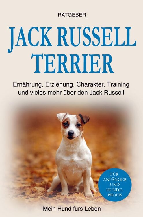 Produktbild: Jack Russell Terrier