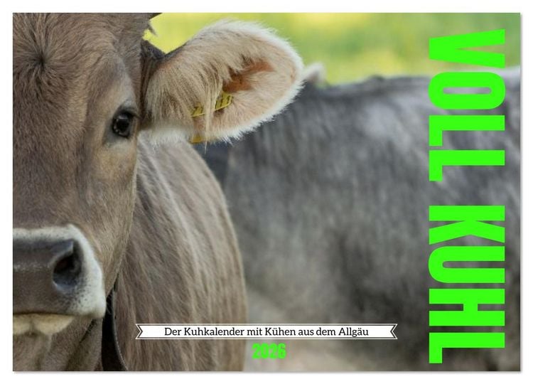 Produktbild: Voll kuhl - der Kuhkalender mit K&uuml;hen aus dem Allg&auml;u (Wandkalender 2026 DIN A4 quer), CALVENDO Monatskalender