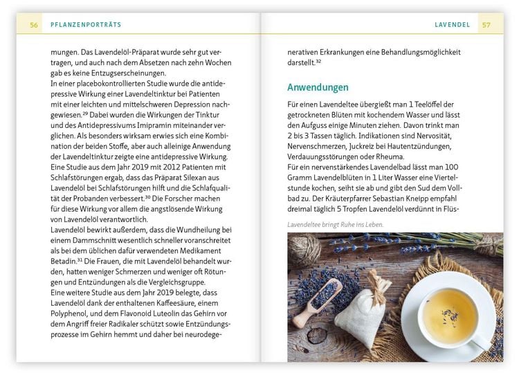 Produktbild: Heilsame K&uuml;chenkr&auml;uter