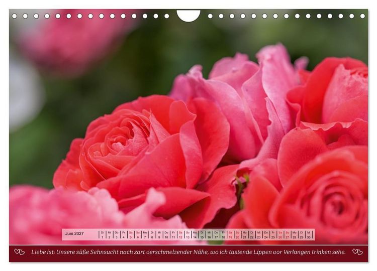 Produktbild: Rosen, Liebe ist (Wandkalender 2027 DIN A4 quer), CALVENDO Monatskalender