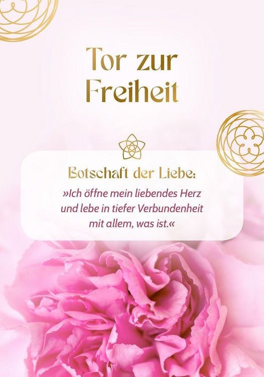 Produktbild: Blume der Liebe - 40 inspirierende Impulse f&uuml;r gelebte Liebe
