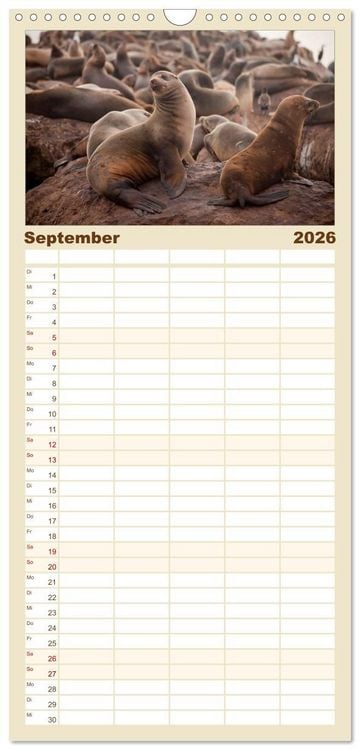 Produktbild: Familienplaner 2026 - Kalifornien USA mit 5 Spalten (Wandkalender, 21 x 45 cm) CALVENDO