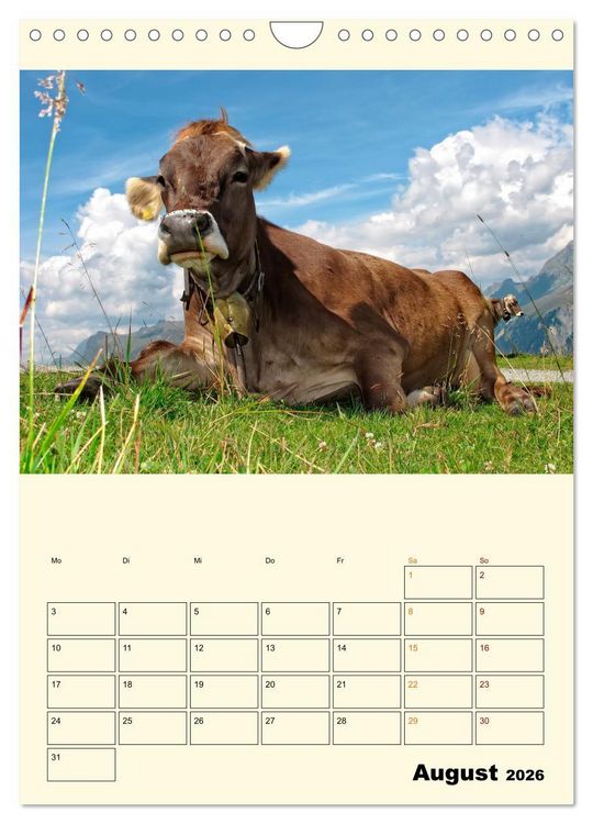Produktbild: Gl&uuml;ckliche Bergk&uuml;he (Wandkalender 2026 DIN A4 hoch), CALVENDO Monatskalender