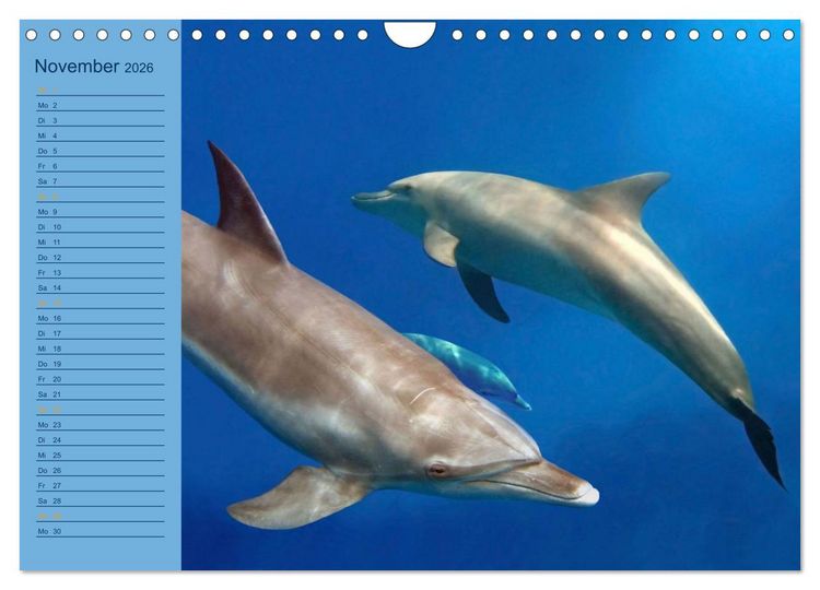 Produktbild: Momente im Blau - Ein Terminplaner f&uuml;r Unterwasser-Freunde (Wandkalender 2026 DIN A4 quer), CALVENDO Monatskalender