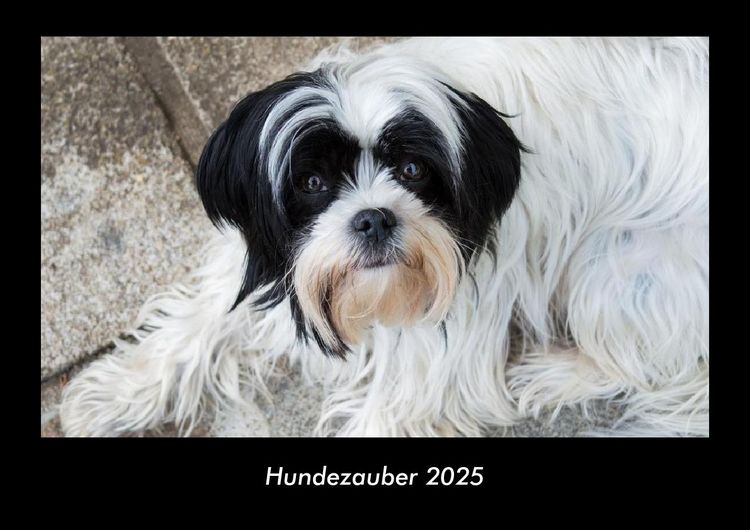 Produktbild: Hundezauber 2025 Fotokalender DIN A3