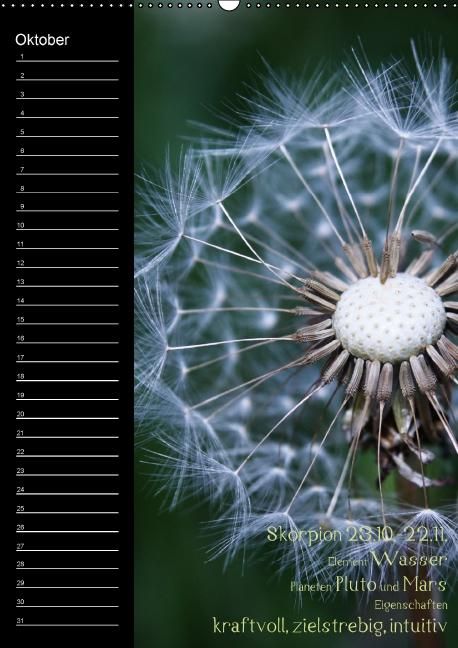 Produktbild: Naturbilder mit Sternzeichen / Geburtstagskalender (Wandkalender immerw&auml;hrend DIN A2 hoch)