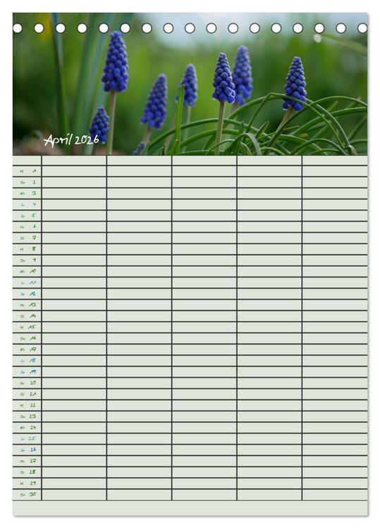 Produktbild: Kleine Natursch&ouml;nheiten (Tischkalender 2026 DIN A5 hoch), CALVENDO Monatskalender