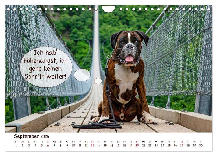 Produktbild: Frei Schnauze 2026. Was Hunde am liebsten sagen w&uuml;rden (Wandkalender 2026 DIN A4 quer), CALVENDO Monatskalender