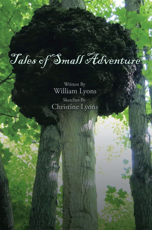 Produktbild: Tales of Small Adventure