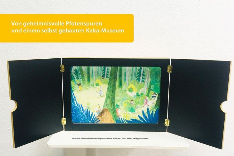 Produktbild: Bilderbuchkarten &raquo;Waldtage!&laquo; von Stefanie H&ouml;fler und Claudia Weikert