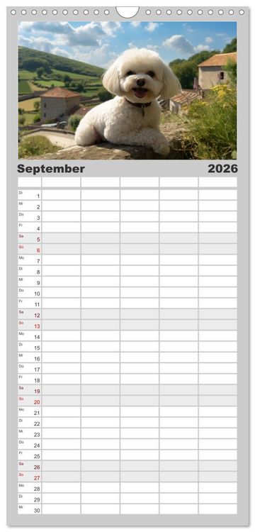 Produktbild: Familienplaner 2026 - Bichon fris&eacute;, wei&szlig;e H&uuml;ndchen mit lockigem Haar mit 5 Spalten (Wandkalender, 21 x 45 cm) CALVENDO