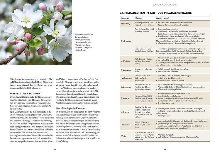 Produktbild: Sprachkurs gr&uuml;ner Daumen