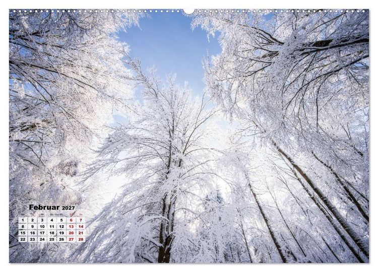 Produktbild: Waldspazierg&auml;nge: Entspannen - Kraft tanken - Besinnen auf sich selbst (Wandkalender 2027 DIN A2 quer), CALVENDO Monatskalender