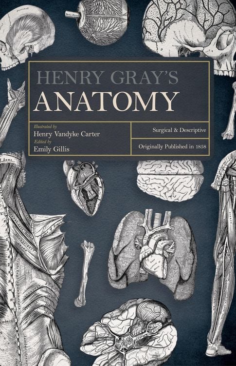 Produktbild: Henry Gray's Anatomy