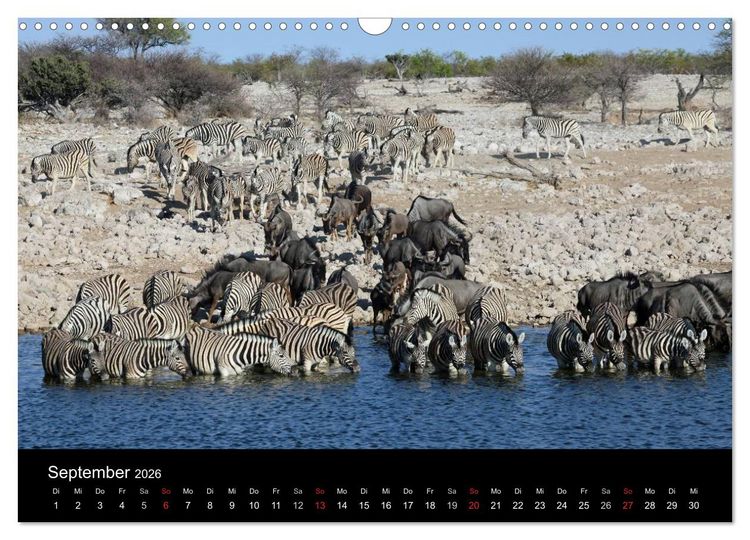 Produktbild: Eindr&uuml;cke aus Namibia (Wandkalender 2026 DIN A3 quer), CALVENDO Monatskalender