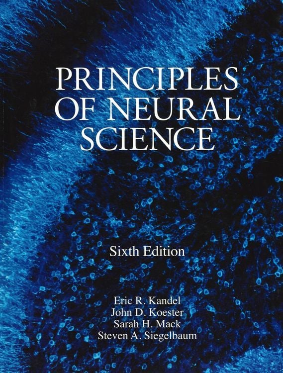 Produktbild: Principles of Neural Science, Sixth Edition