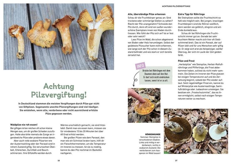 Produktbild: Das Pilzbuch f&uuml;r Kids