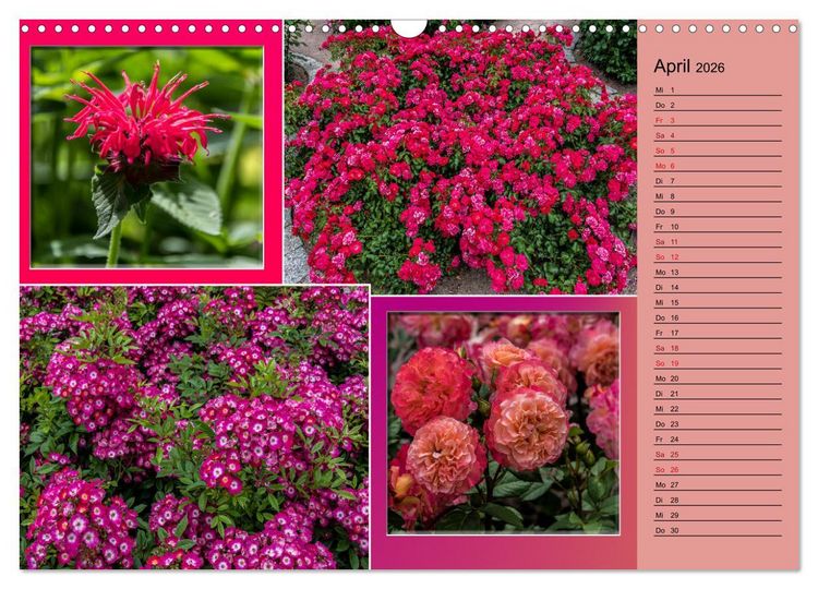 Produktbild: Gartenschau in Erfurt (Wandkalender 2026 DIN A3 quer), CALVENDO Monatskalender