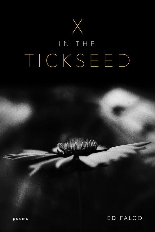 Produktbild: X in the Tickseed