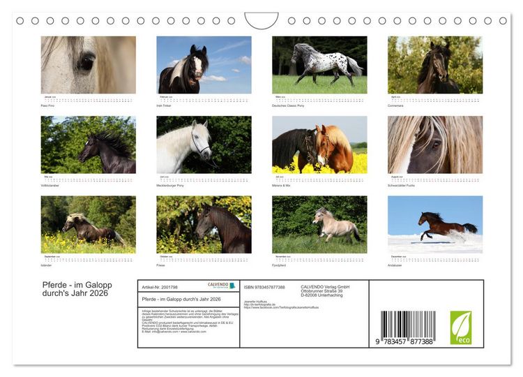 Produktbild: Pferde - im Galopp durch's Jahr 2026 (Wandkalender 2026 DIN A4 quer), CALVENDO Monatskalender