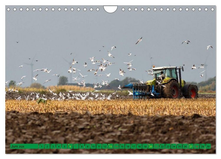 Produktbild: Landwirtschaft - Maschinen im Einsatz (Wandkalender 2026 DIN A4 quer), CALVENDO Monatskalender