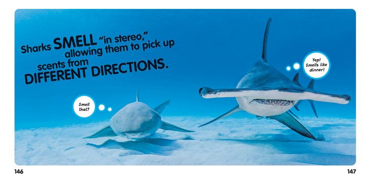 Produktbild: Weird But True! Ocean