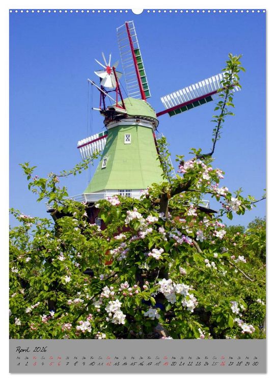 Produktbild: Windm&uuml;hlen in Norddeutschland (Wandkalender 2026 DIN A2 hoch), CALVENDO Monatskalender
