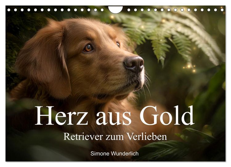 Produktbild: Herz aus Gold - Retriever zum Verlieben (Wandkalender 2026 DIN A4 quer), CALVENDO Monatskalender