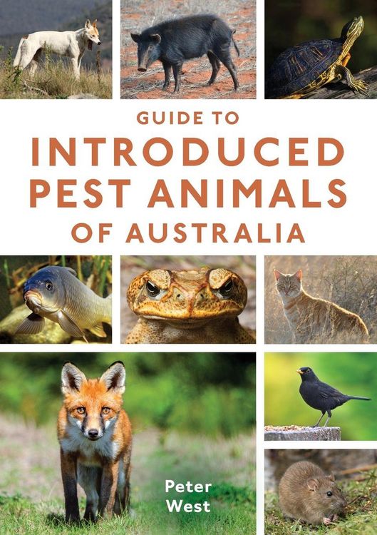 Produktbild: Guide to Introduced Pest Animals of Australia