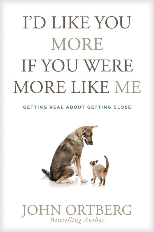 Produktbild: I'd Like You More If You Were More like Me