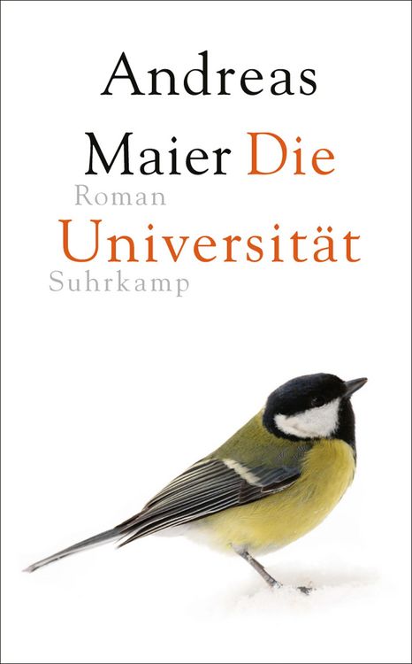 Bild vom Artikel Die Universität vom Autor Andreas Maier
