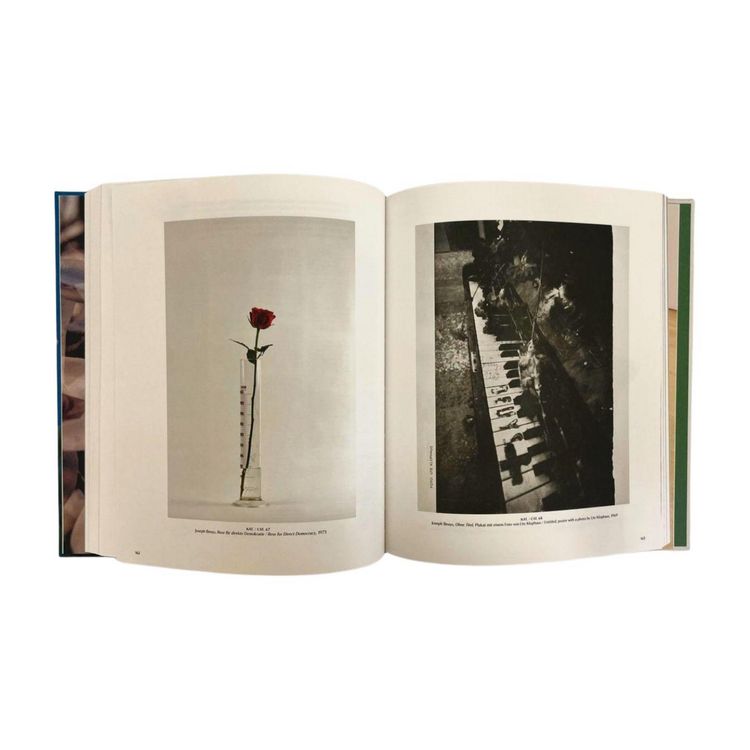 Produktbild: Flowers!