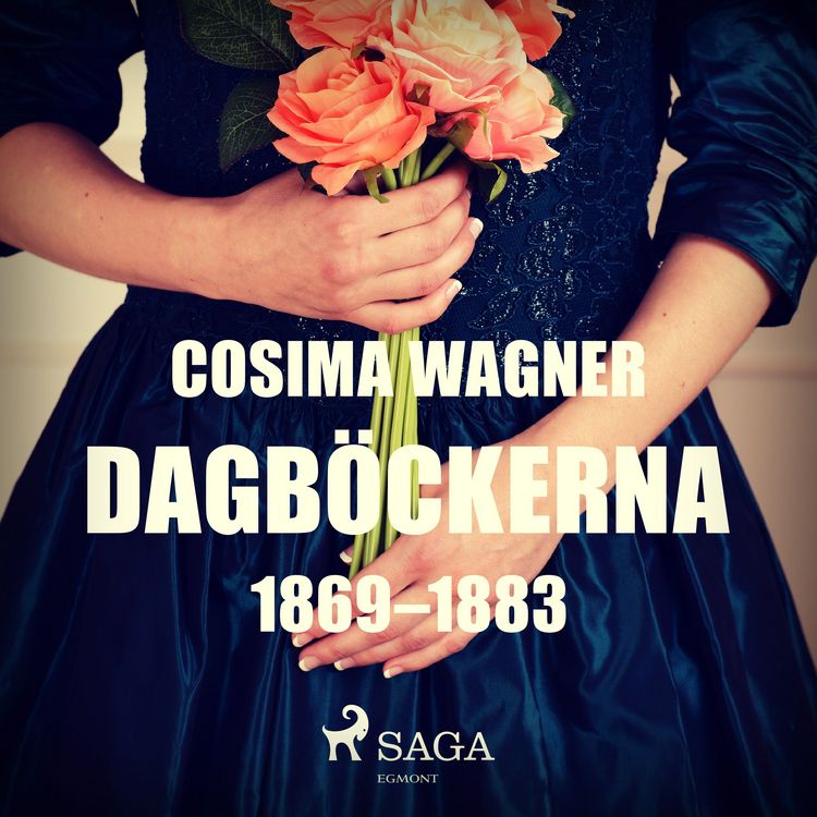 Produktbild: Dagb&ouml;ckerna 1869&ndash;1883