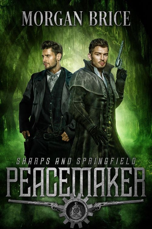 Produktbild: Peacemaker (Sharps & Springfield, #1)
