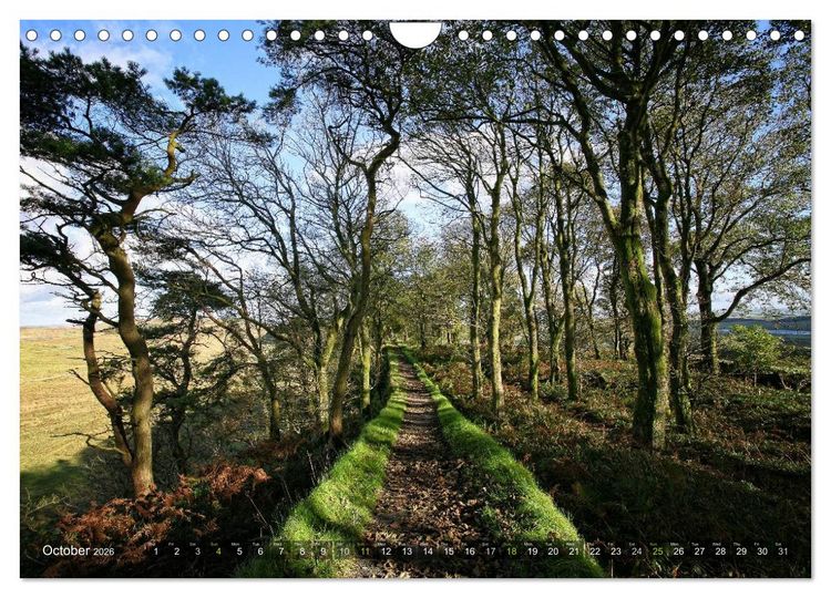 Produktbild: Wild Beauty of Cumbria (Wall Calendar 2026 DIN A4 landscape), CALVENDO 12 Month Wall Calendar