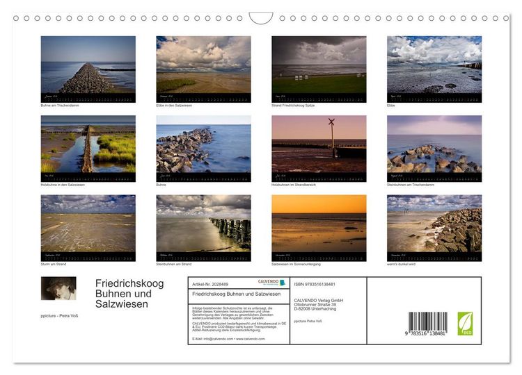 Produktbild: Friedrichskoog Buhnen und Salzwiesen (Wandkalender 2026 DIN A3 quer), CALVENDO Monatskalender