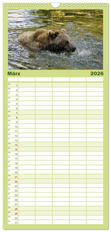Produktbild: Familienplaner 2026 - Begegnungen DER BRAUNB&Auml;R mit 5 Spalten (Wandkalender, 21 x 45 cm) CALVENDO