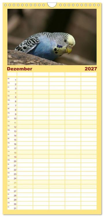 Produktbild: Familienplaner 2027 - Wellensittiche - Gefiederte Freunde mit 5 Spalten (Wandkalender, 21 x 45 cm) CALVENDO