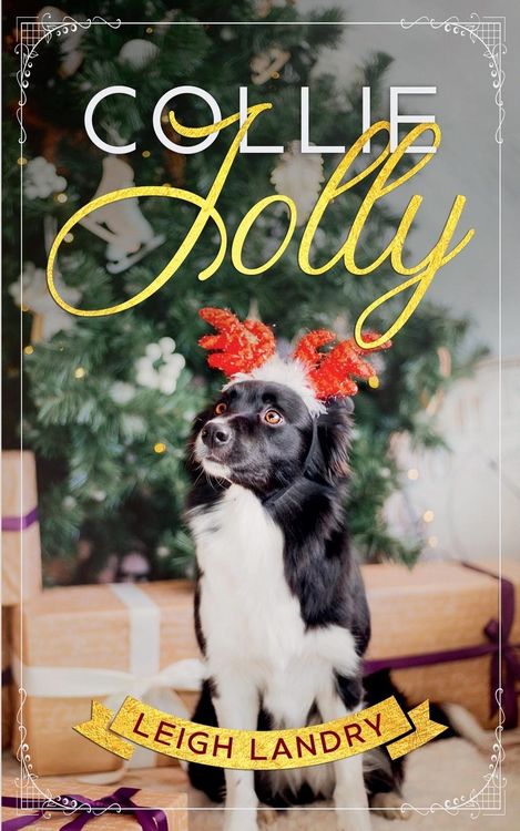 Produktbild: Collie Jolly