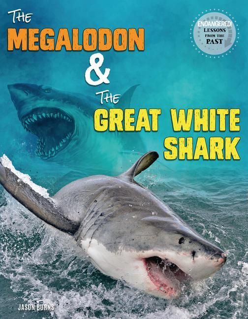 Produktbild: The Megalodon and the Great White Shark
